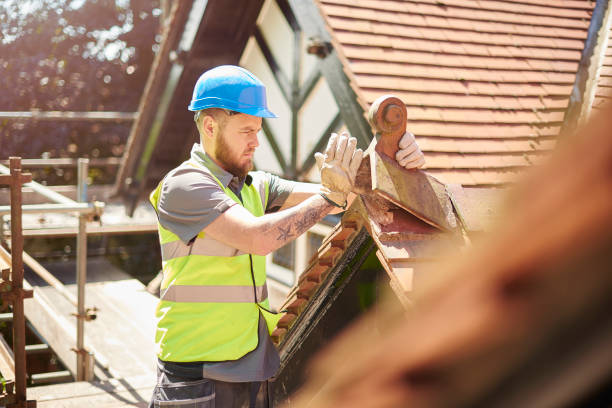 Best Storm Damage Roof Repair  in Harlingen, TX